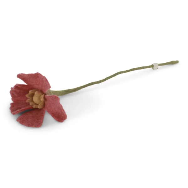 Poppy Flower Raspberry