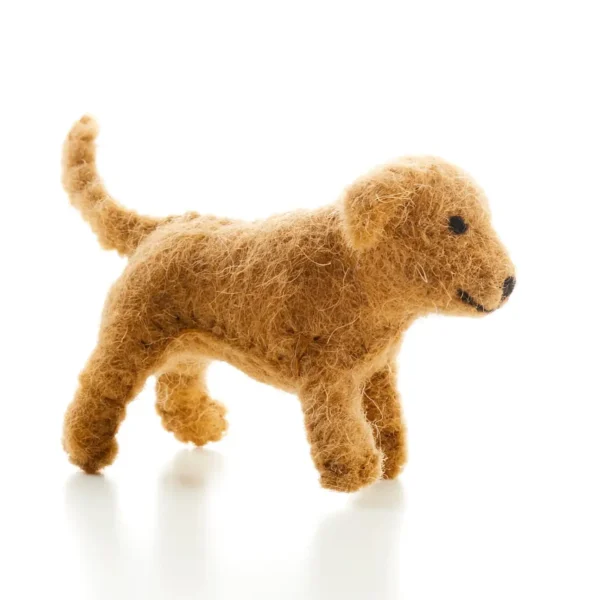 Labrador