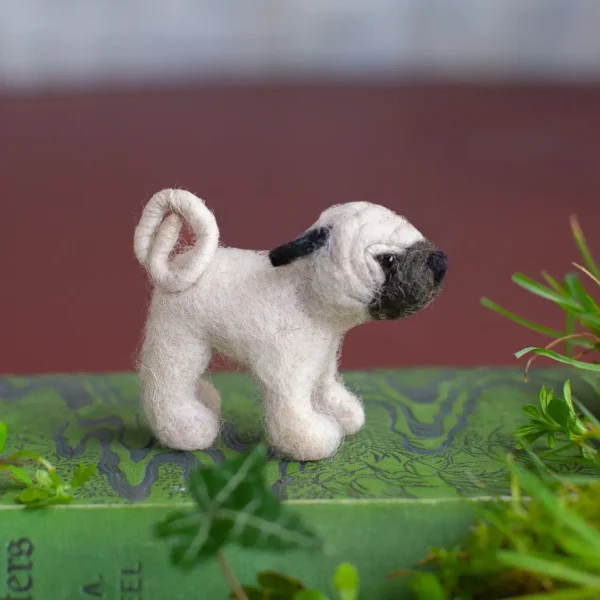 Mops – Bild 2
