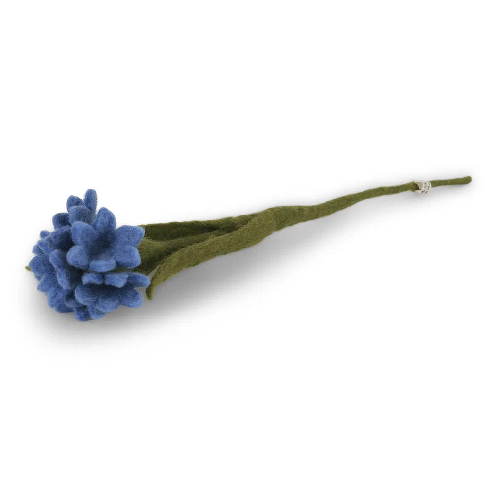 Kornblume blau