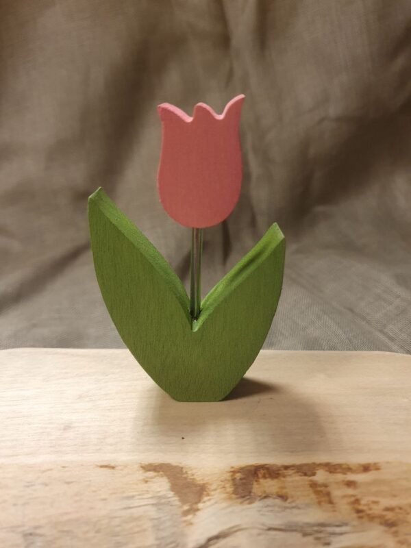 Stecker Tulpe rosa