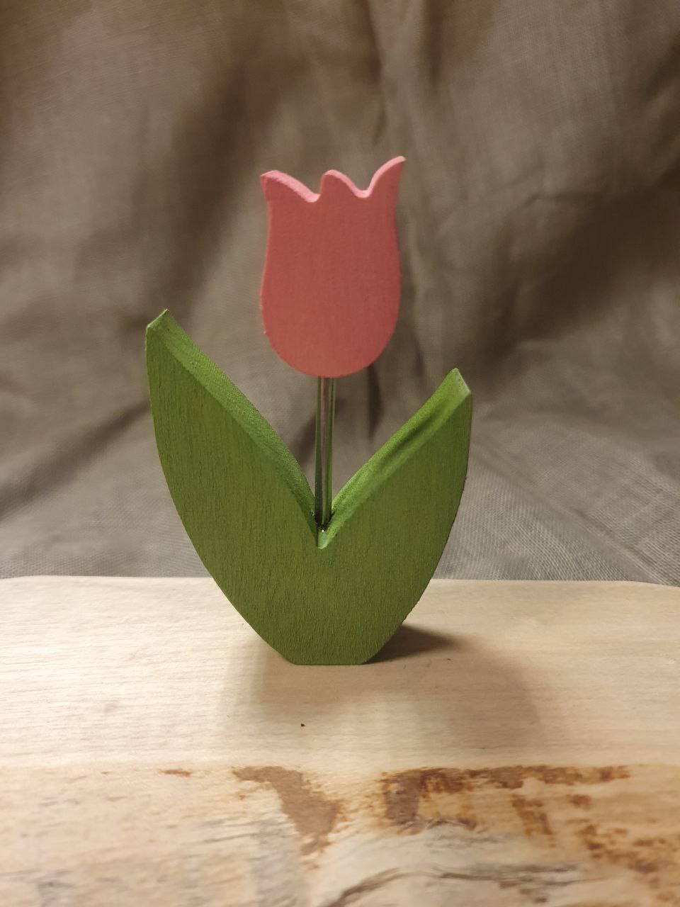 Stecker Tulpe rosa