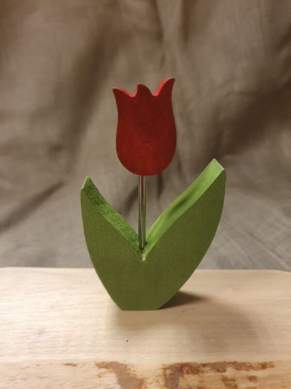 Stecker Tulpe rot