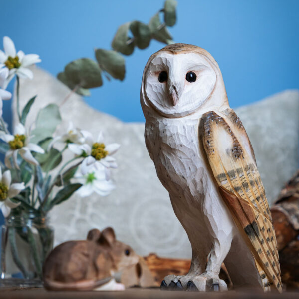 Wildlife Garden