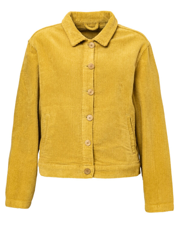 Breitcordjacke avocado