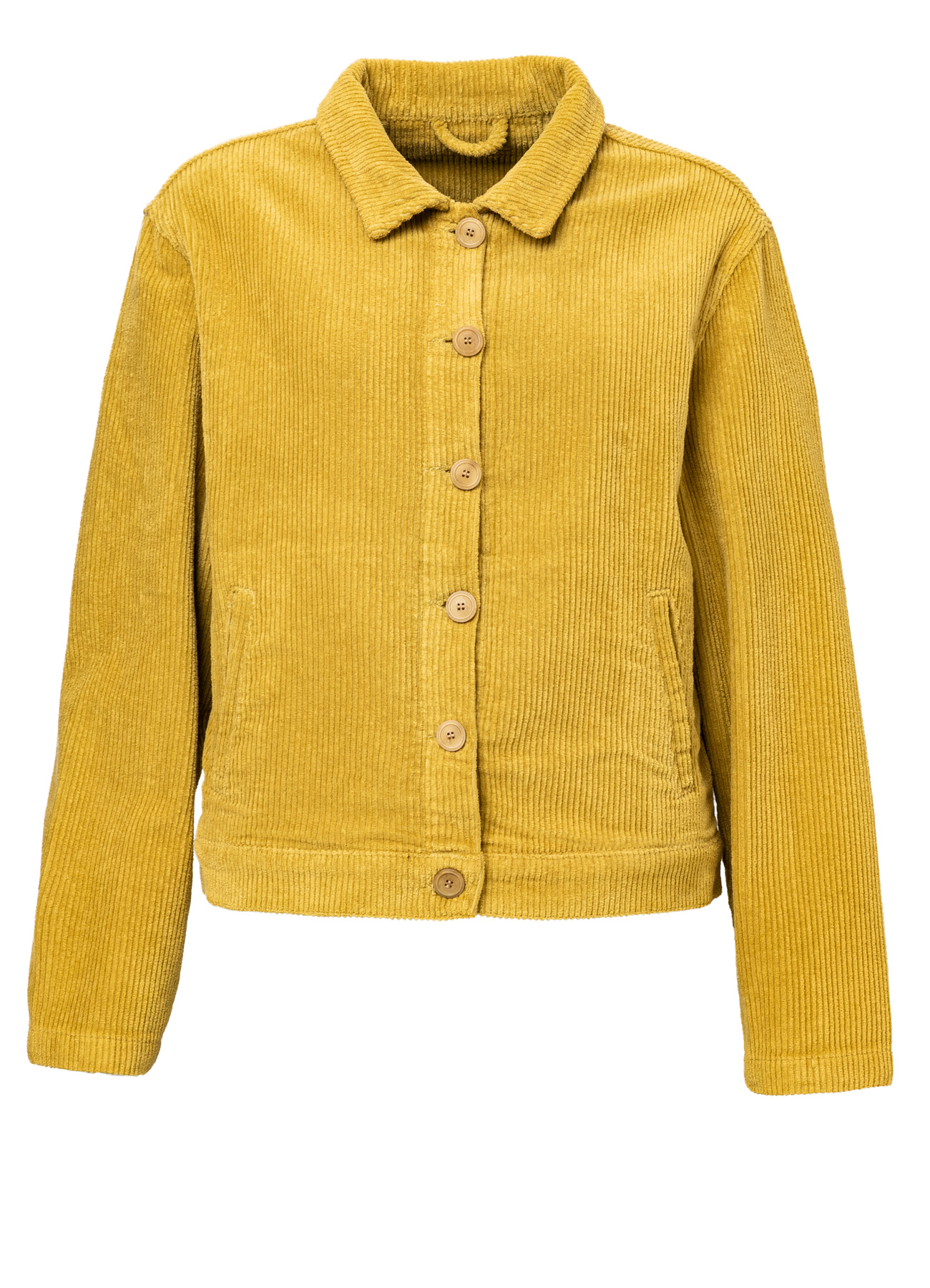 Breitcordjacke avocado