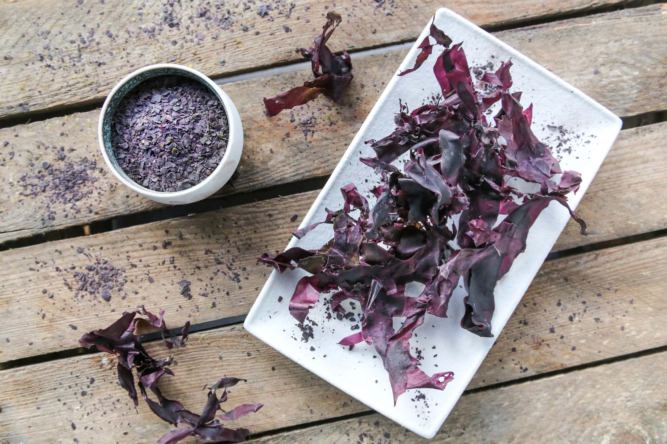 Getrocknete Bio-Dulse – Bild 2